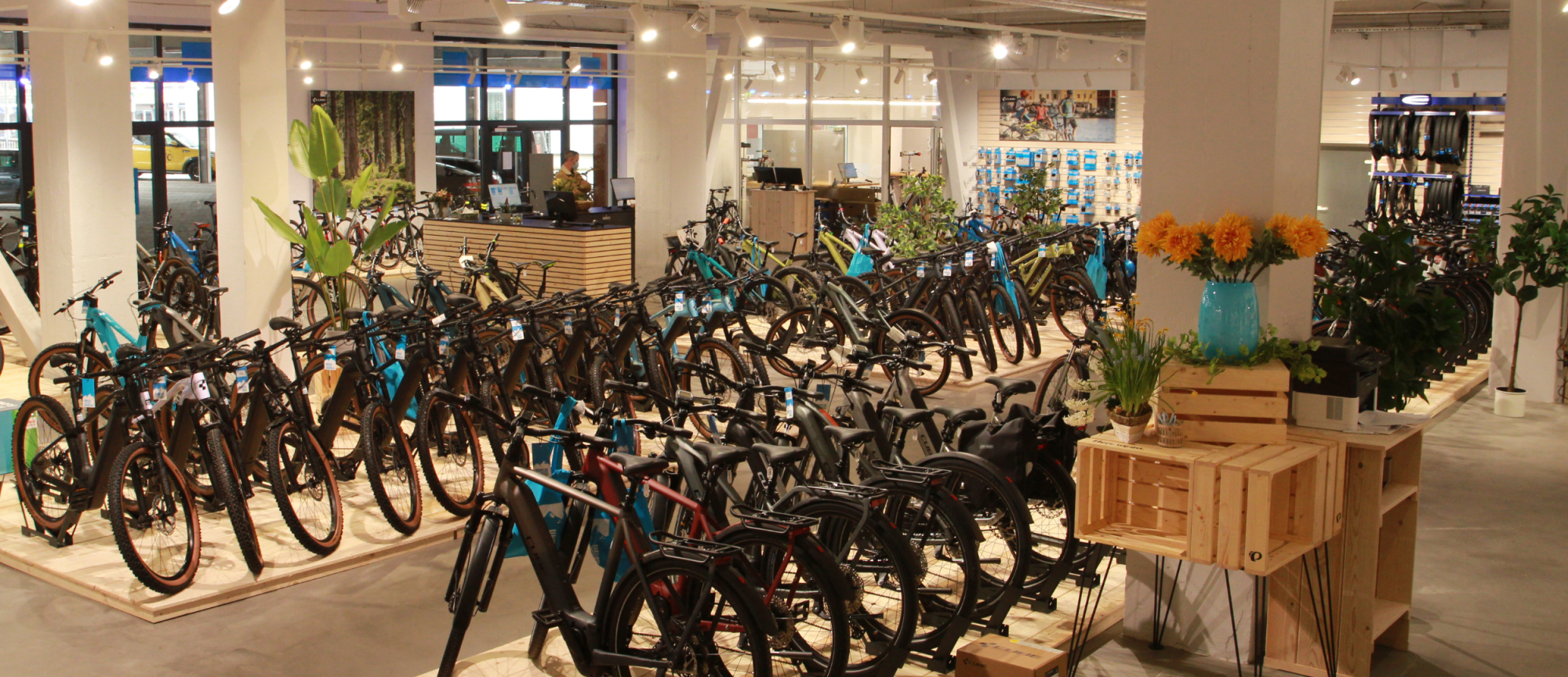 Bikeandsnow Family – Familien-Fahrradladen in Jena